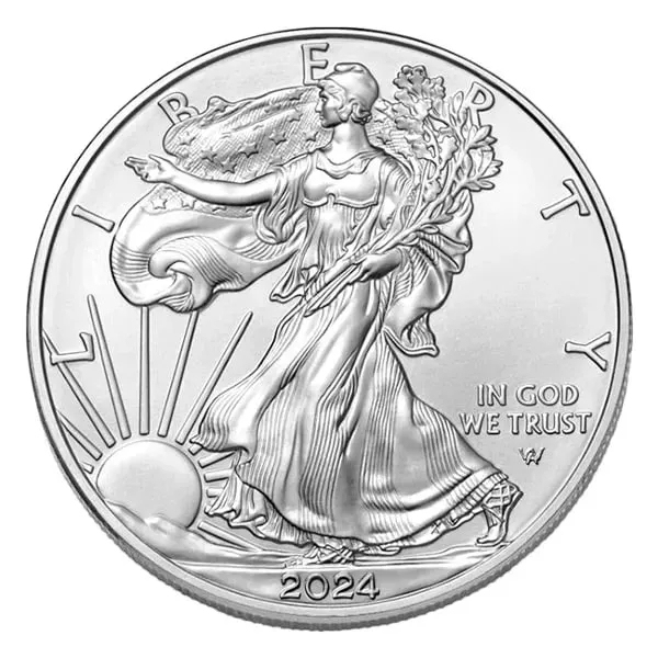 🔥LAST DAY SPECIAL SALE 50% OFF🔥 American Eagle 2024 Silver Proof Coin