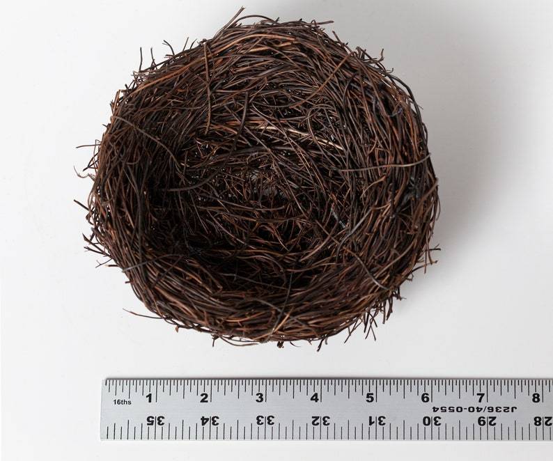 Family Tree Nest with Engraved Wood Eggs with Names, Grandparent Gift with Children's Names, Prayer Tokens, Personalized Name Gift