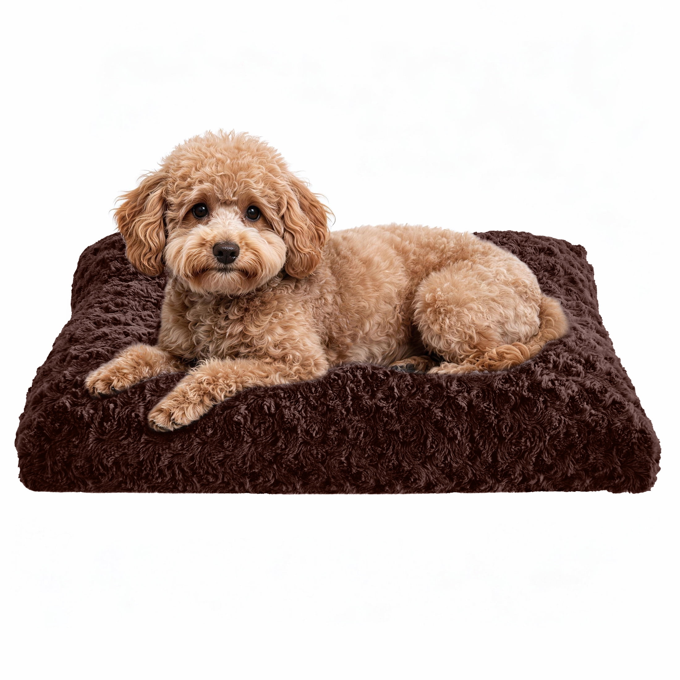 Sasttie Rose Velvet Dog Bed Crate Pad, Washable Plush Pet Mat with Non-Slip Bottom - S (23" x 18" x 4") / Dark Brown