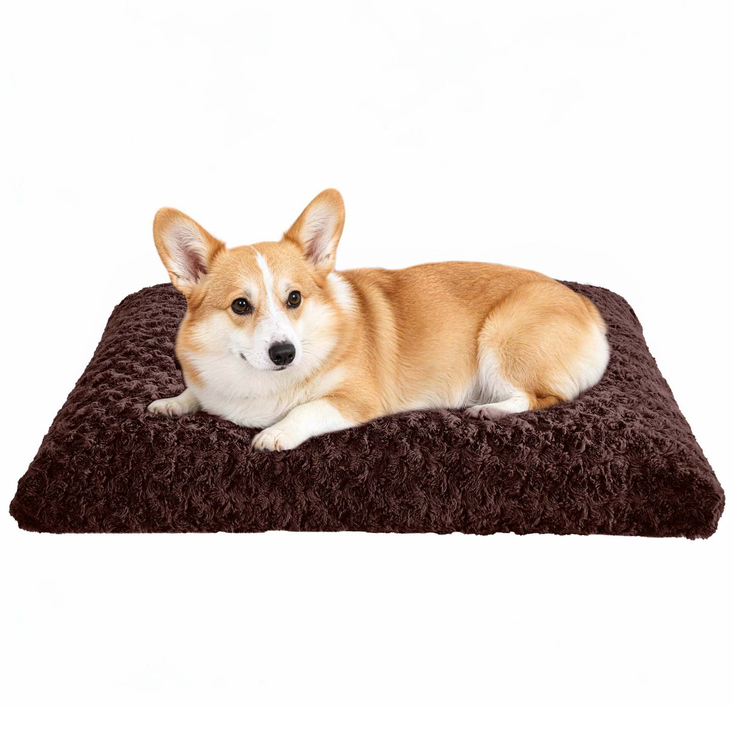 Sasttie Rose Velvet Dog Bed Crate Pad, Washable Plush Pet Mat with Non-Slip Bottom - M (29" x 21" x 5") / Dark Brown