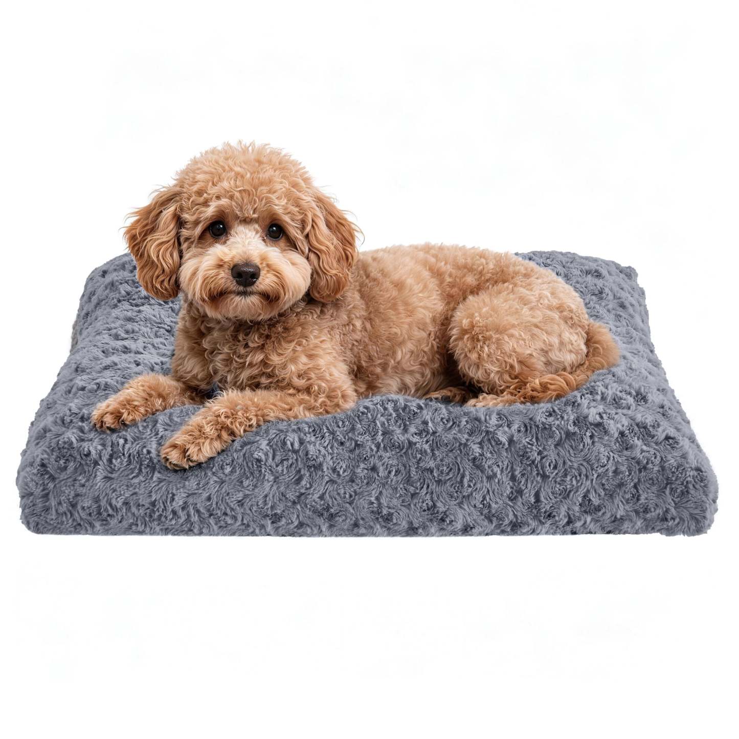 Sasttie Rose Velvet Dog Bed Crate Pad, Washable Plush Pet Mat with Non-Slip Bottom - S (23" x 18" x 4") / Grey