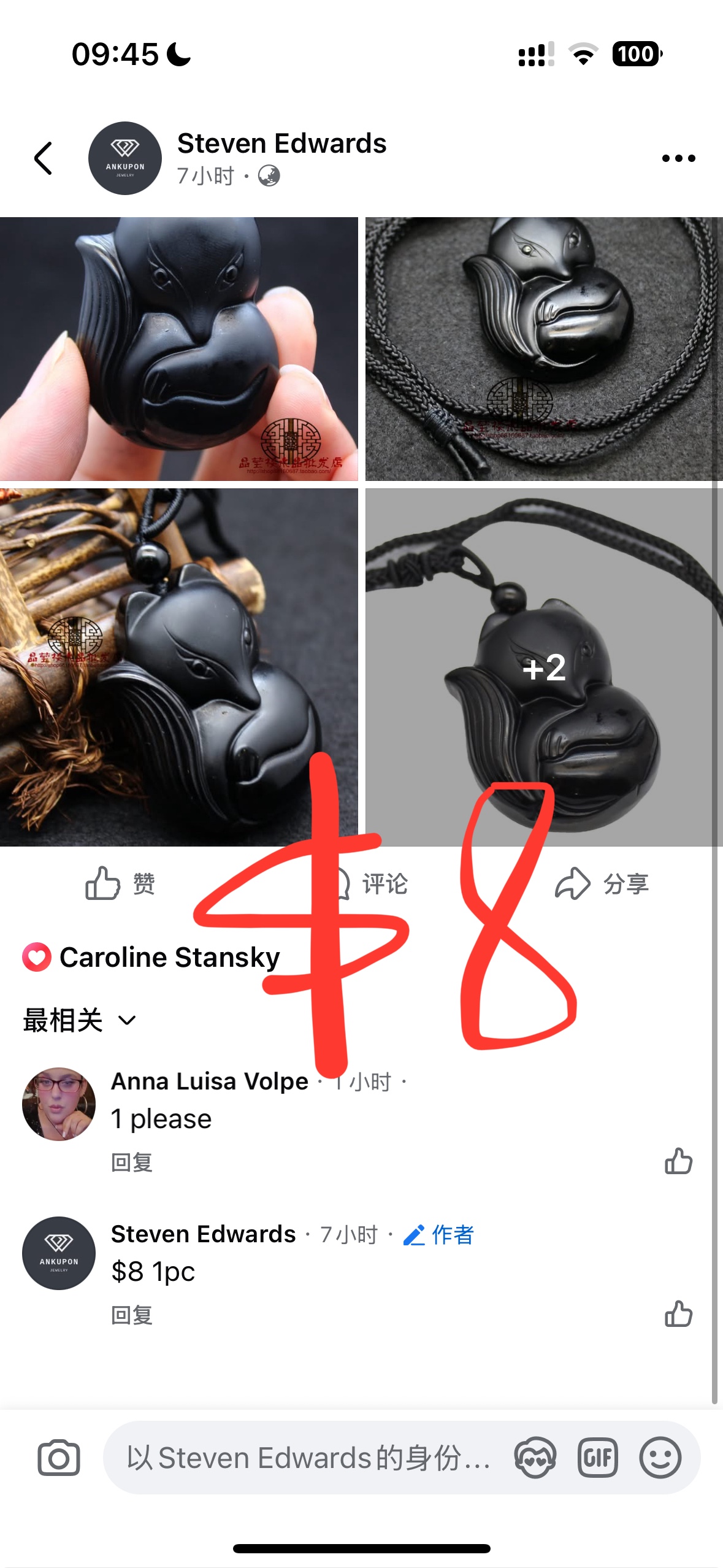 Ana Luisa volpe $115