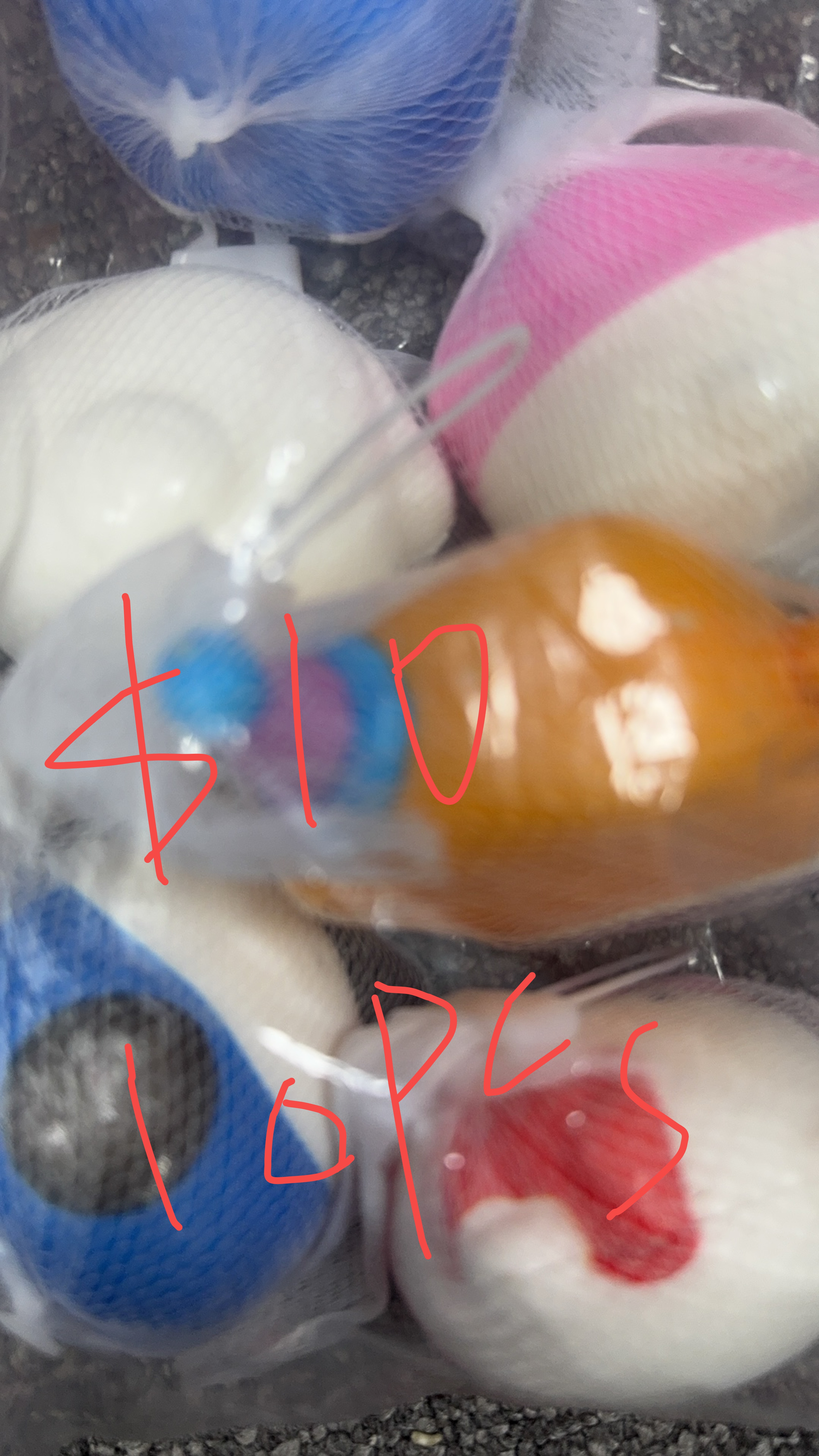 Cris $325+$15tariff=$340