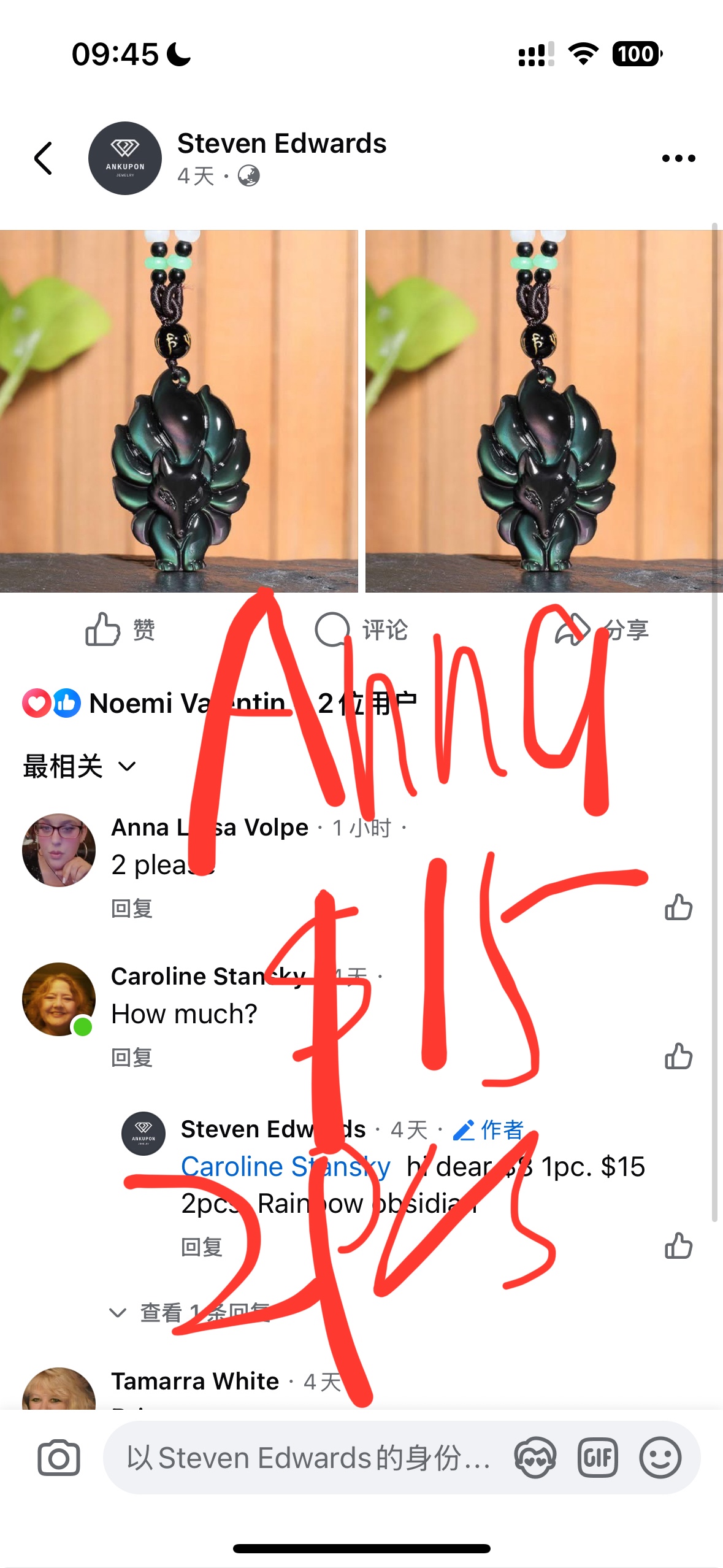 Ana Luisa volpe $115