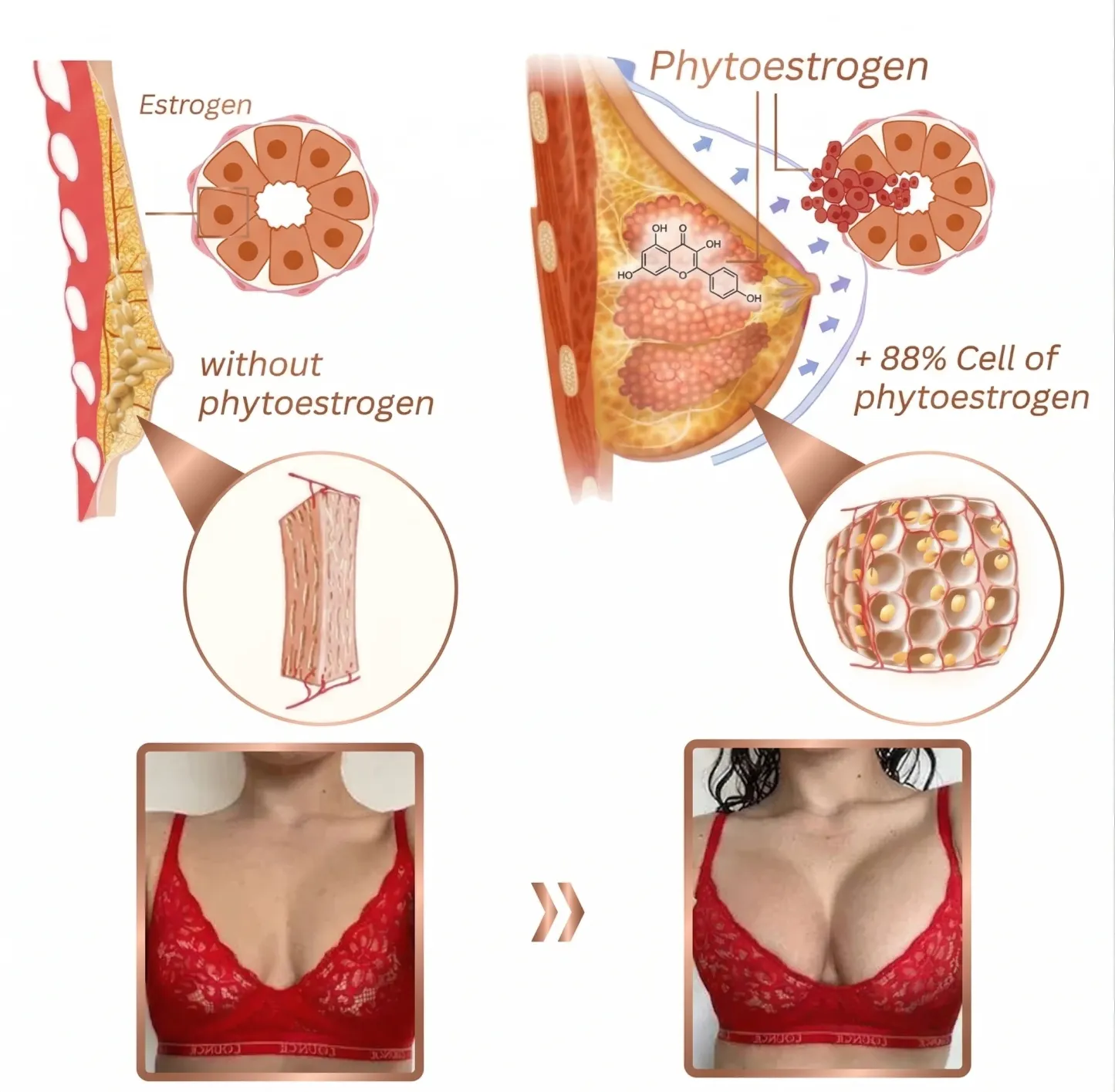 Velnixa® Volume & Lift Enhancer | Breast Enhancement & Curve Sculpting