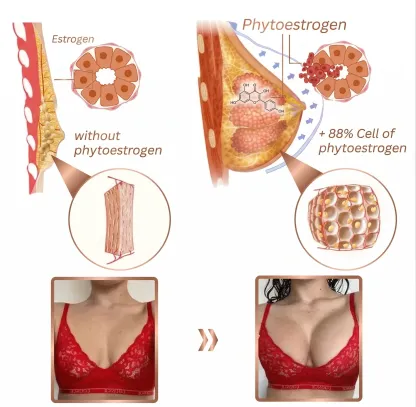Velnixa® Volume & Lift Enhancer | Breast Enhancement & Curve Sculpting