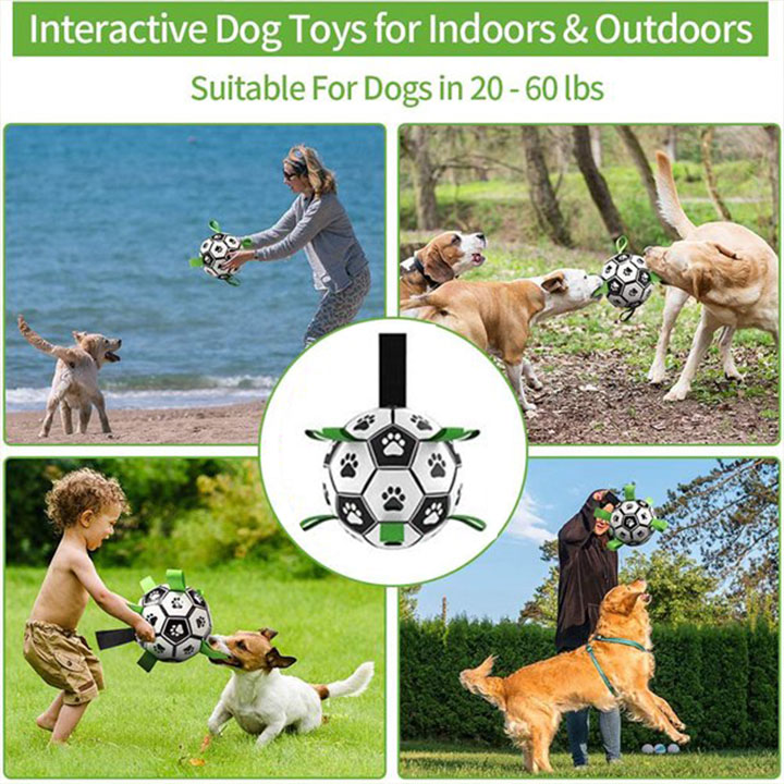 Outdoor & Indoor Football Interactive Dog Toy