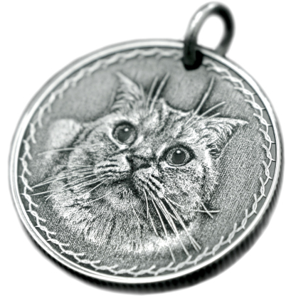 Custom Pet Commemorative Vintage Silver Coins