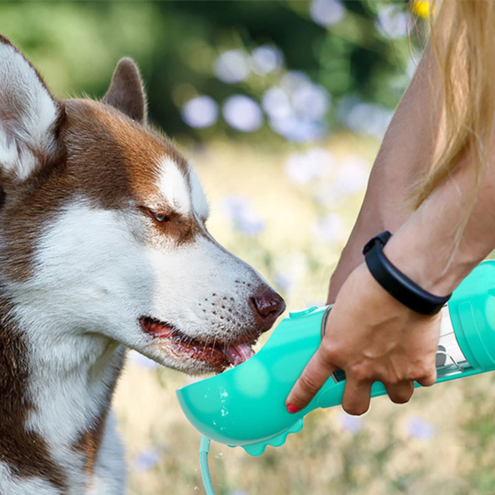Outdoor Portable Dog Multifunctional Water Bottle