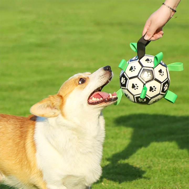 Walwoof Upgraded Interactive Dog Soccer Ball