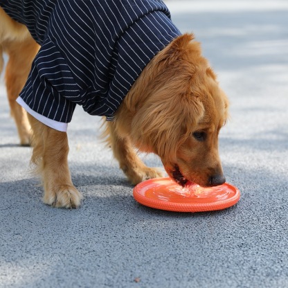 Frisbee Bite Resistant Training Dog Toys