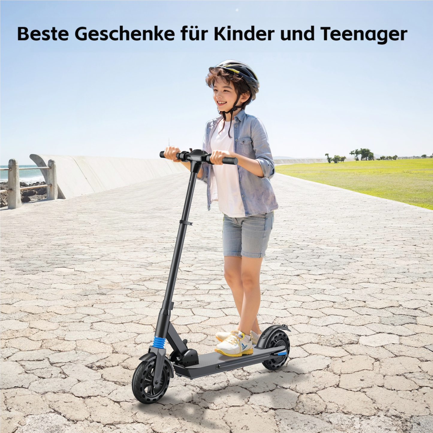 F9-6,5 Zoll faltbarer Elektroroller