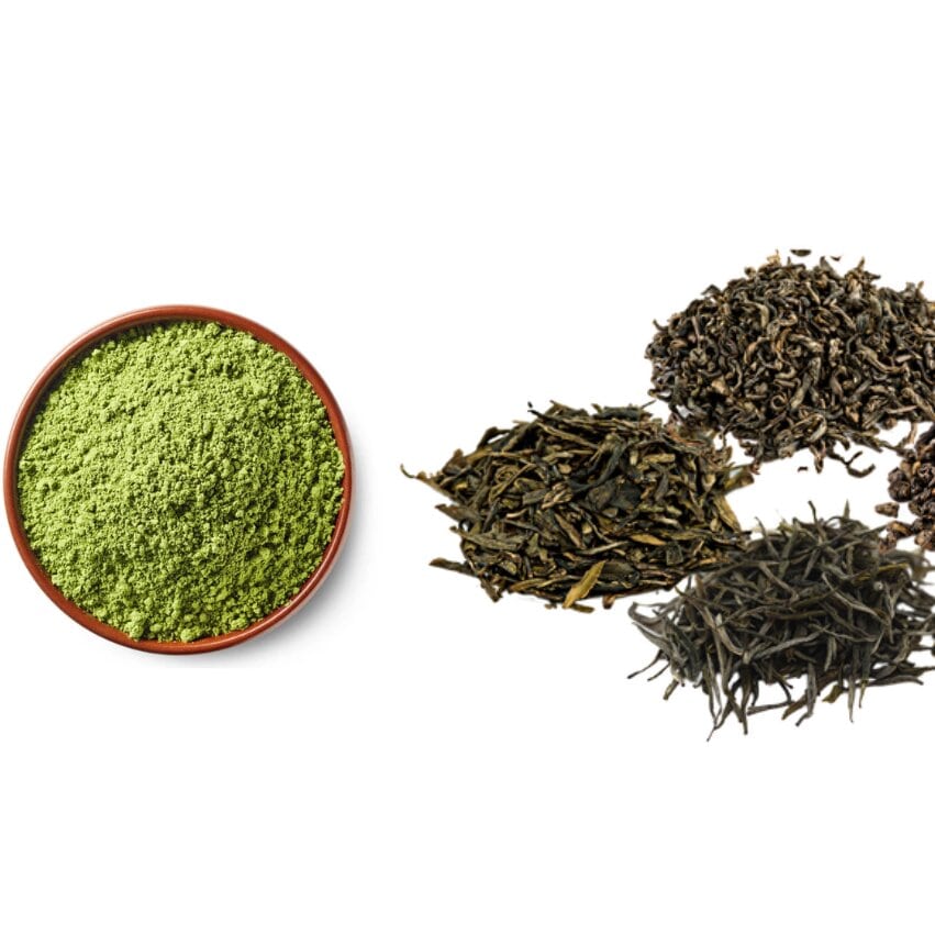 Matcha vs Green Tea: What’s the Difference?-TeaTsy Official Website