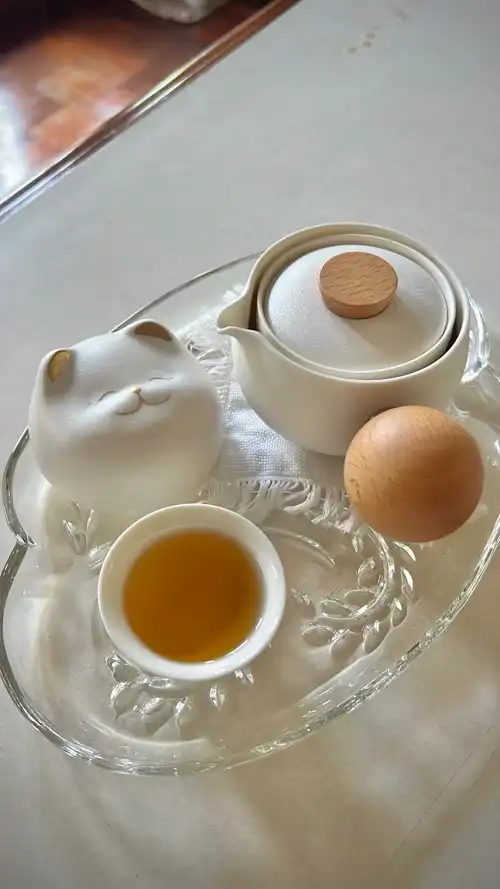 6990_1773643988(原影音).mp4 [video-to-webp output image]