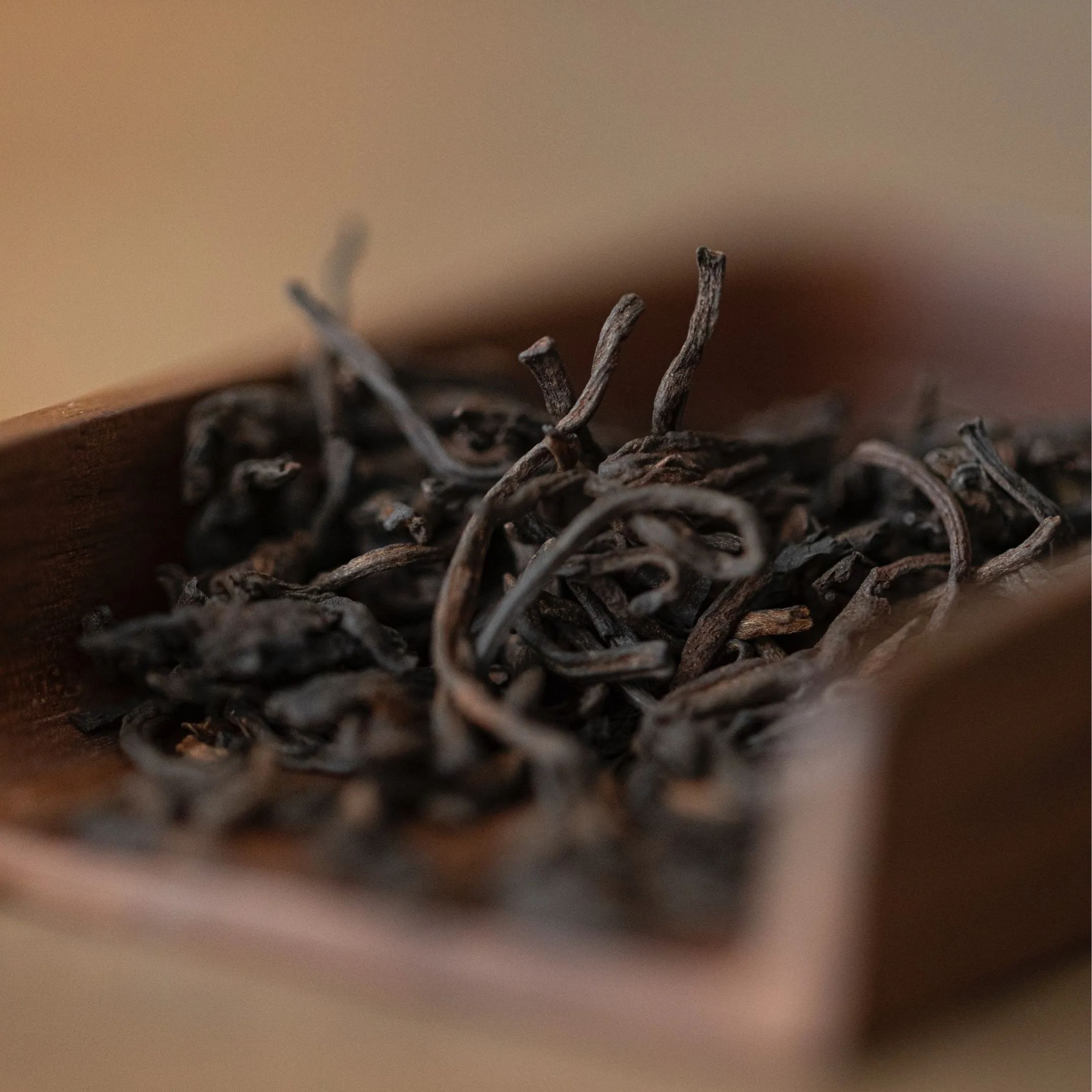 [Buy 1 Get 1 Free] "Danqing" - Jingmai Puerh Shou/Ripe Tea-TeaTsy Official Website