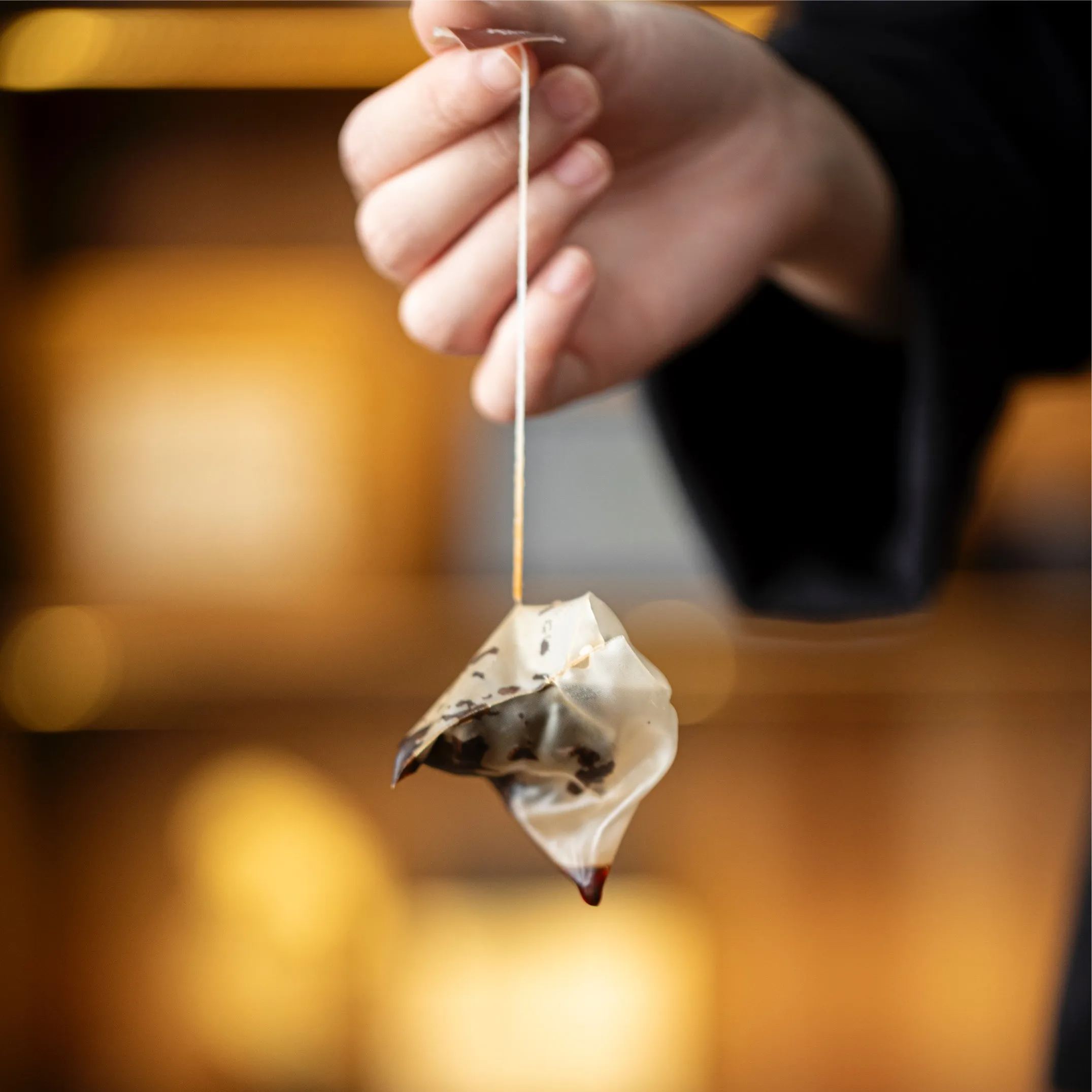 [Buy 1 Get 1 Free] "Danqing" - Jingmai Puerh Shou/Ripe Tea-TeaTsy Official Website