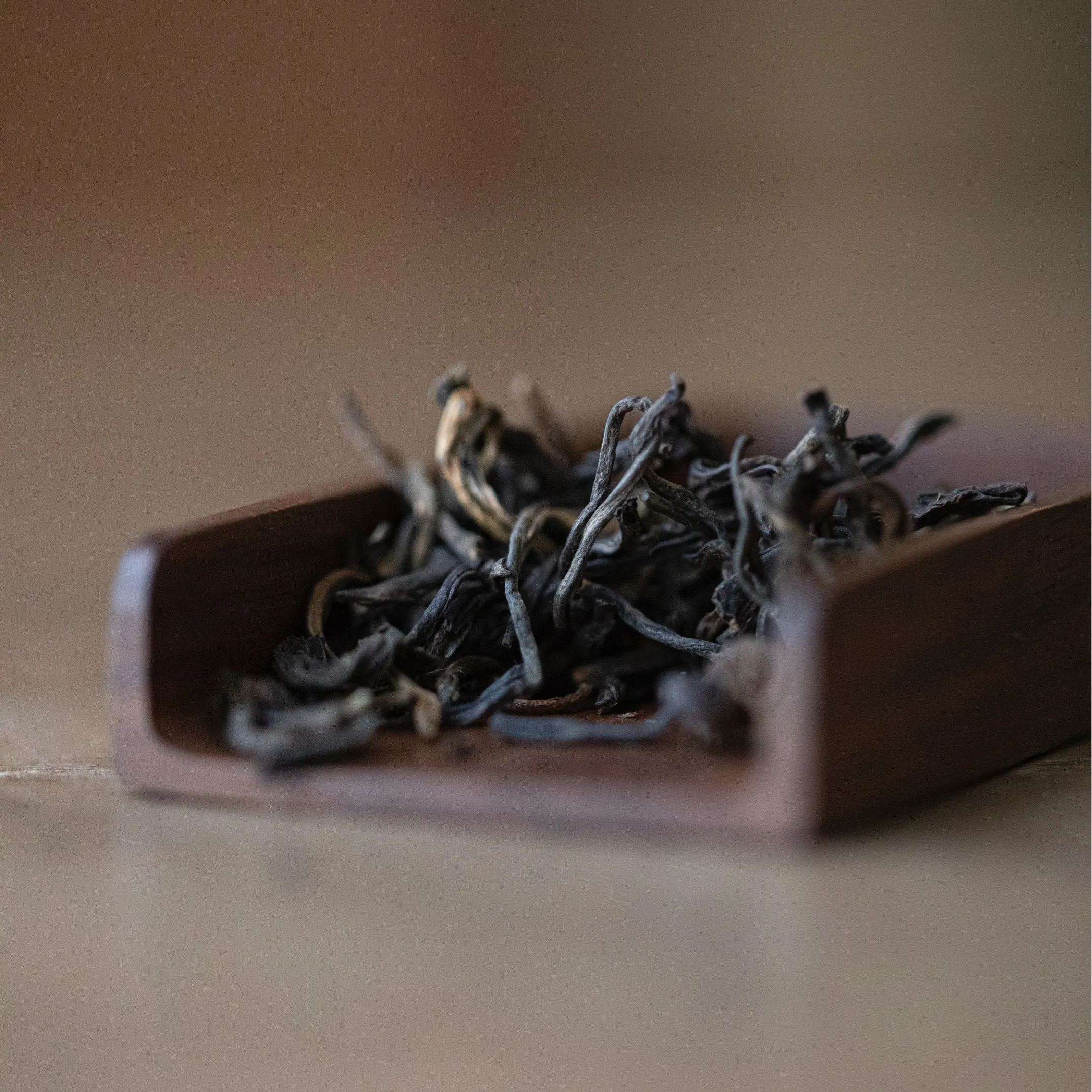 [Buy 1 Get 1 Free] "Danqing" - Jingmai Puerh Sheng/Raw Tea-TeaTsy Official Website