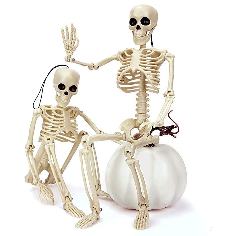 Halloween Skeleton Decoration