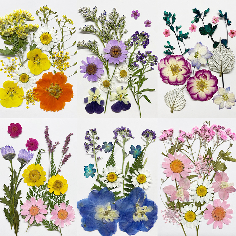 DIY Dried Flower pressed kit