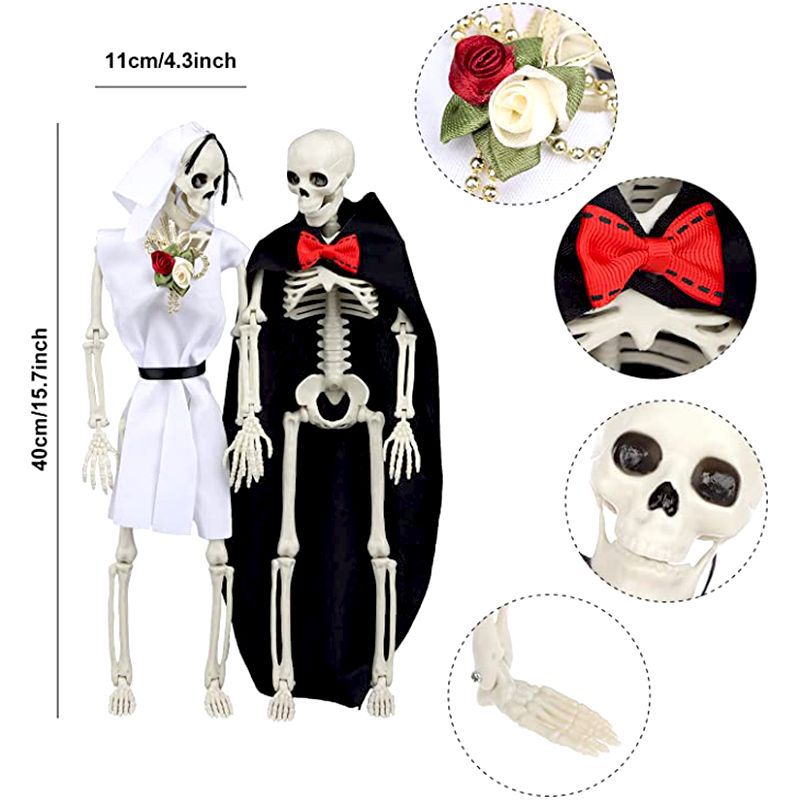Human Body Plastic Skeleton 
