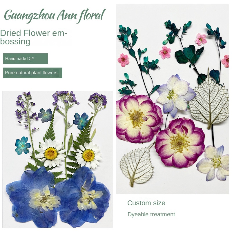 DIY Dried Flower Embossing Kit Handmade Photo Decor and Real Flower Embroidery