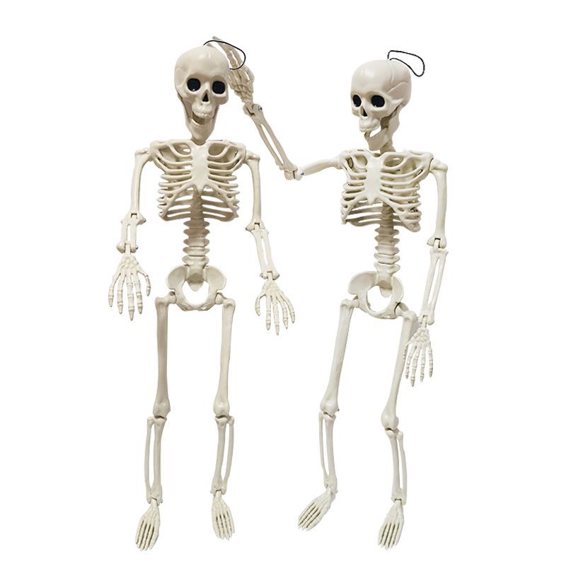 Halloween Skeleton Decoration for Human Body Plastic Skeleton 