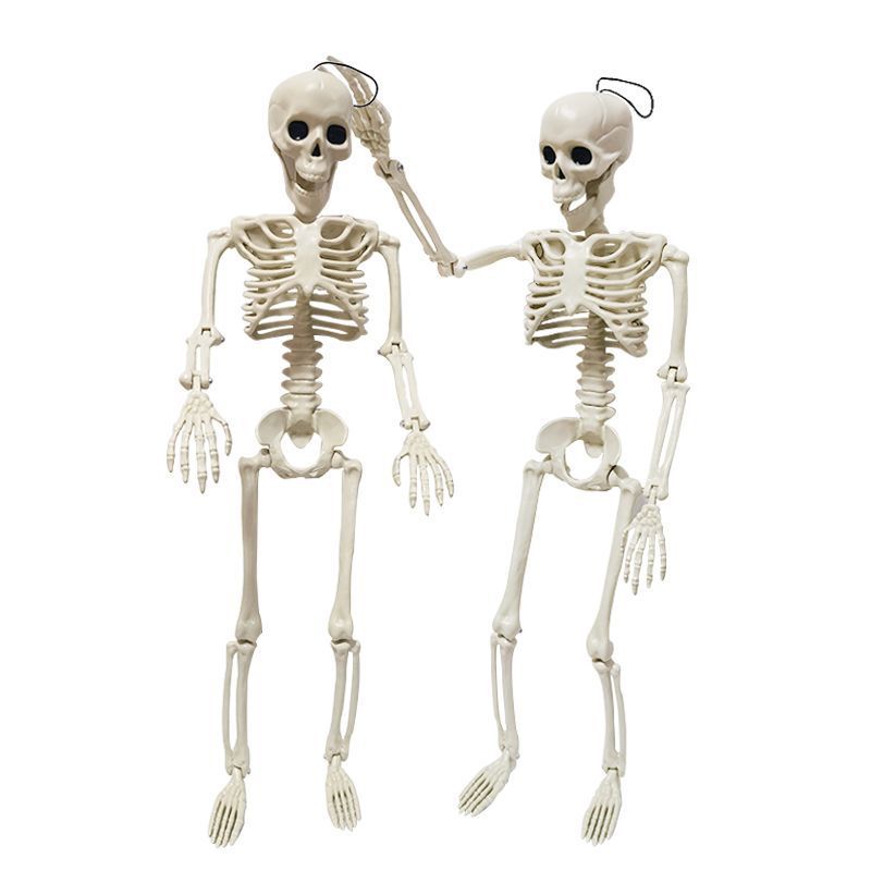 Halloween Skeleton Decoration for Human Body Plastic Skeleton 