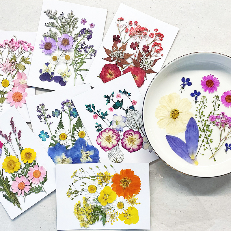 DIY Dried Flower Embossing Kit Handmade Photo Decor and Real Flower Embroidery