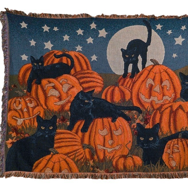 Fully Covered Blanket 