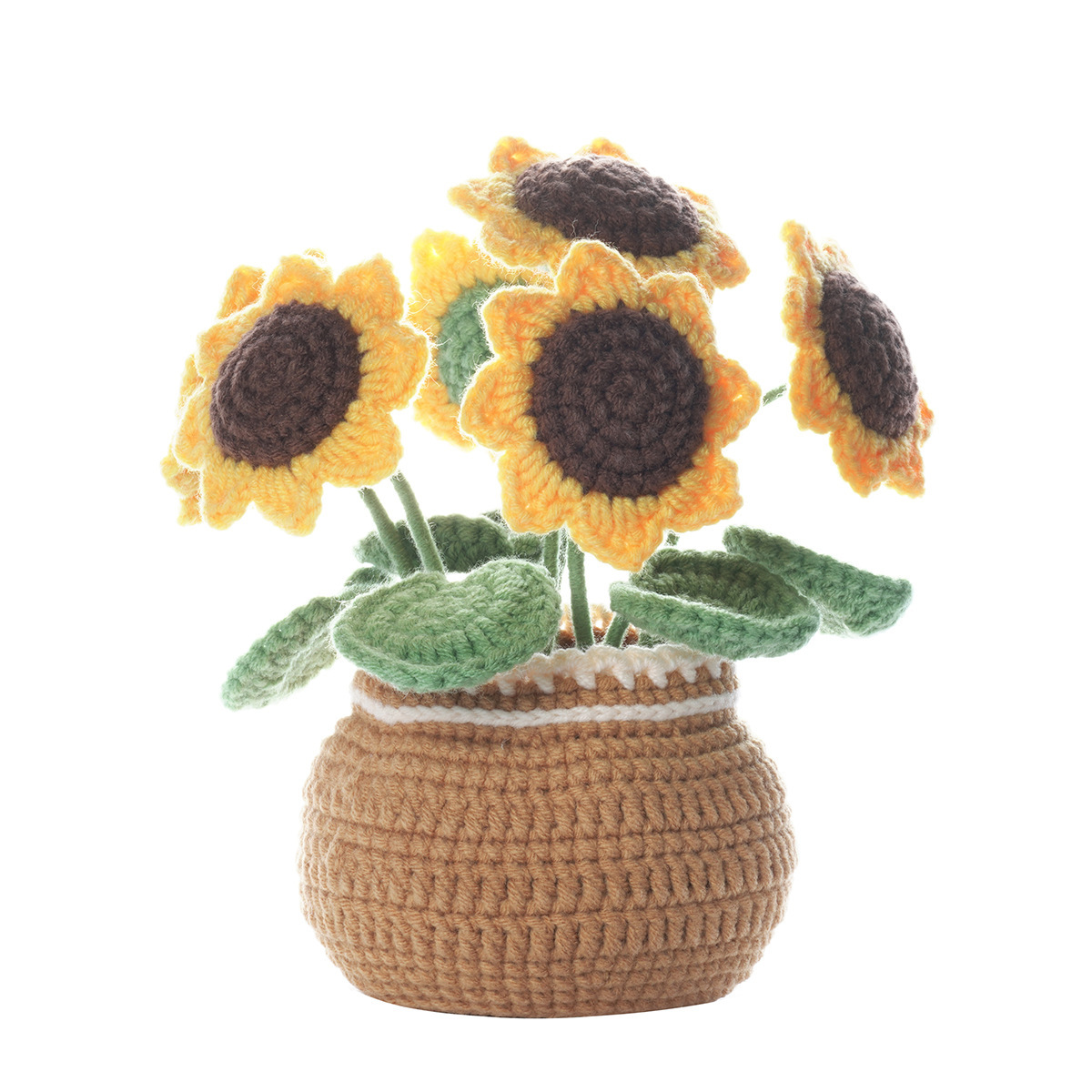 Sunflower potted plant