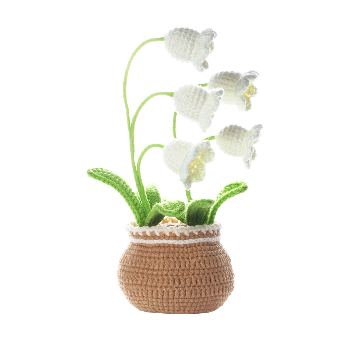 Linglan large potted plant