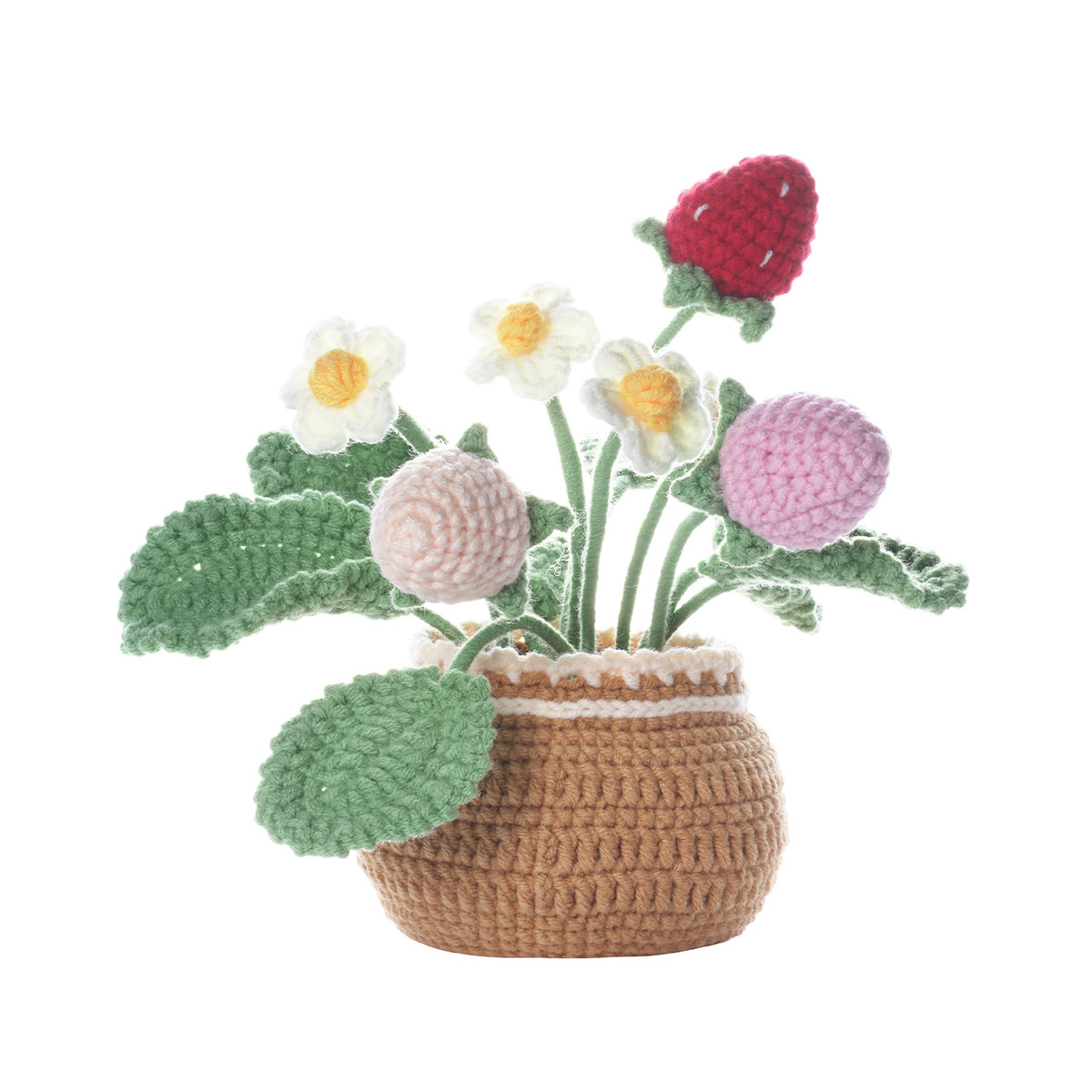 Strawberry potted plant