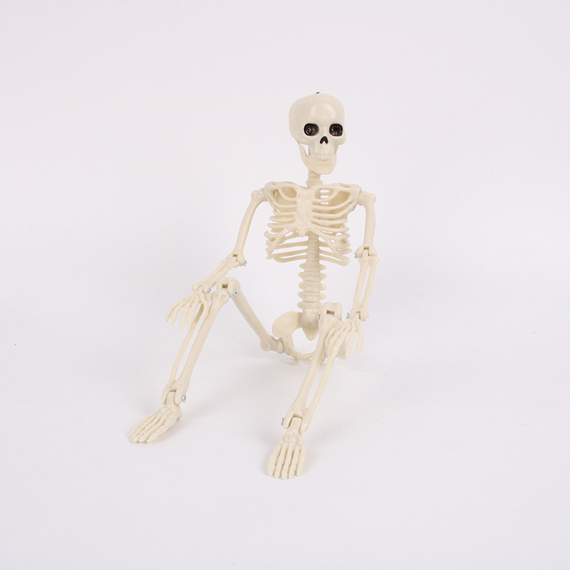 40cm skeleton