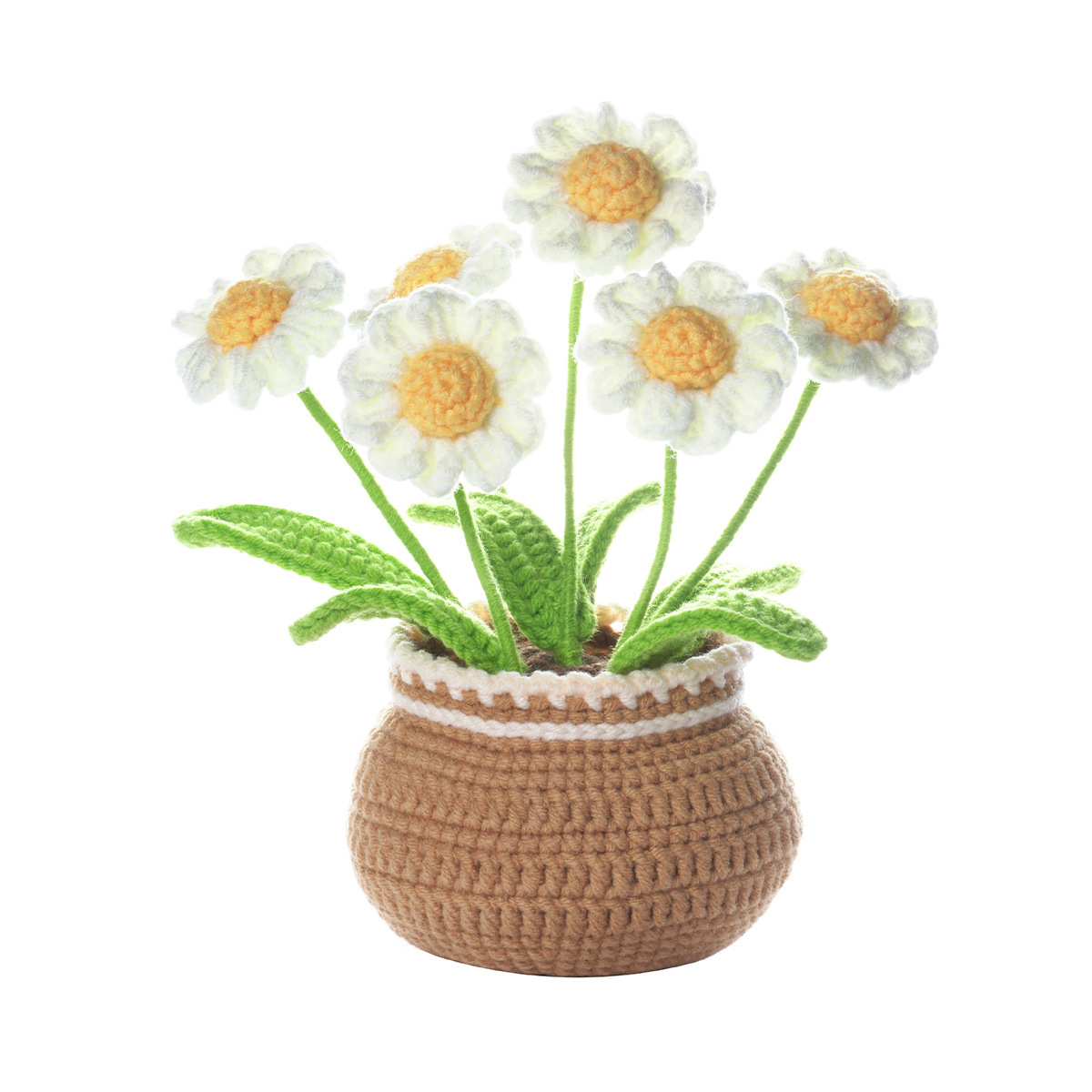 Small daisy and large potted plant