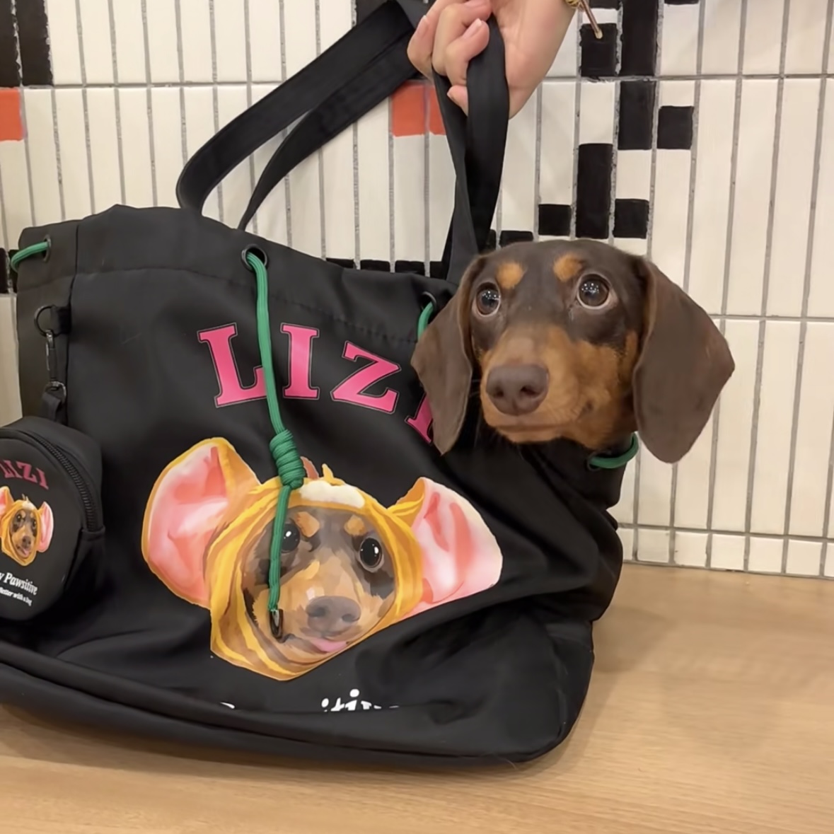 Custom Pet Portrait Tote Bag photo custom personalized shoulder bag