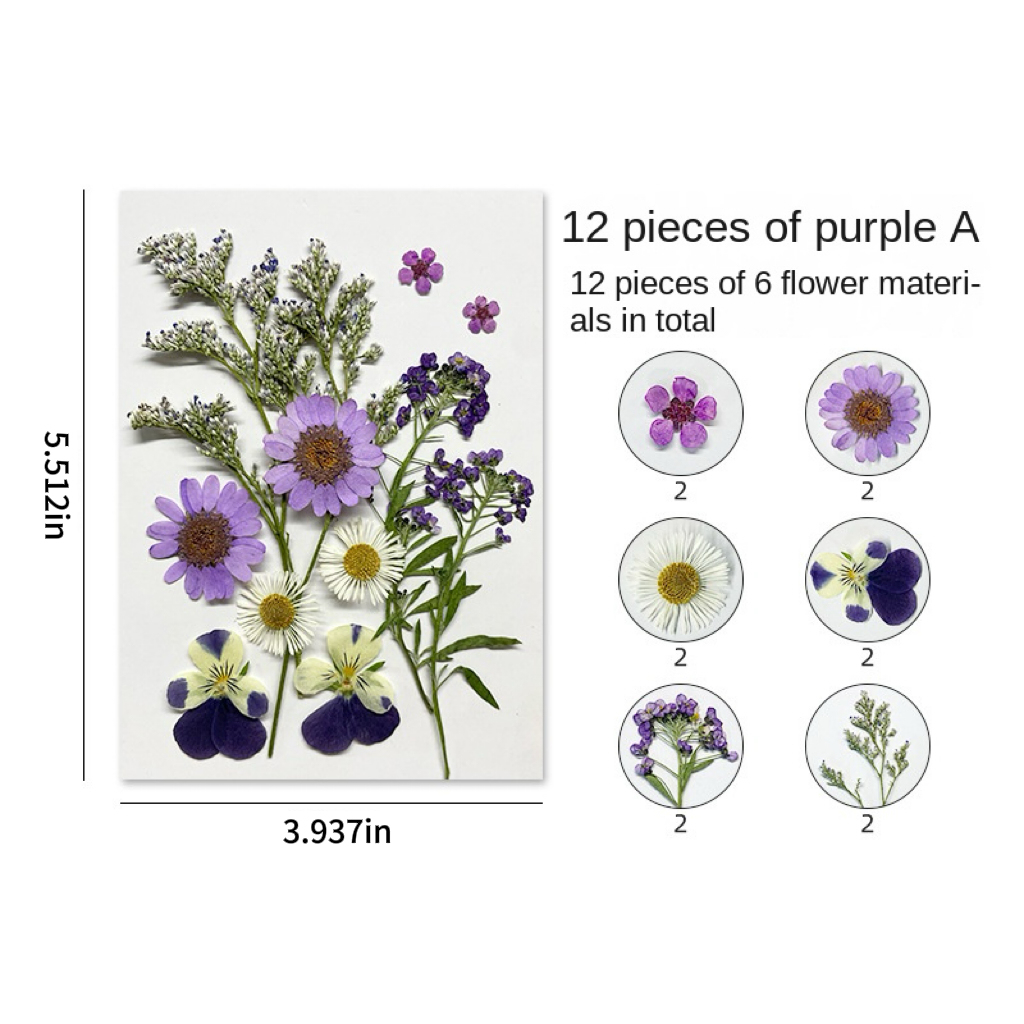 DIY Dried Flower Embossing Kit Handmade Photo Decor and Real Flower Em