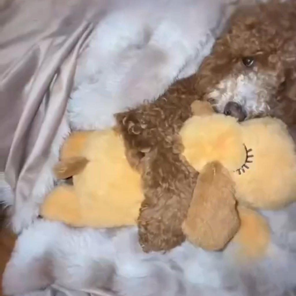SleepEase Puppy Heartbeat Toy Dog Anxiety Relief Sleep Aid