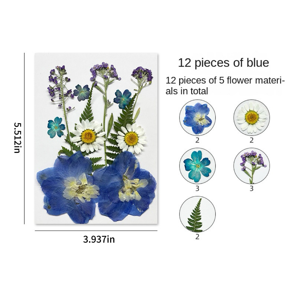 DIY Dried Flower Embossing Kit Handmade Photo Decor and Real Flower Embroidery