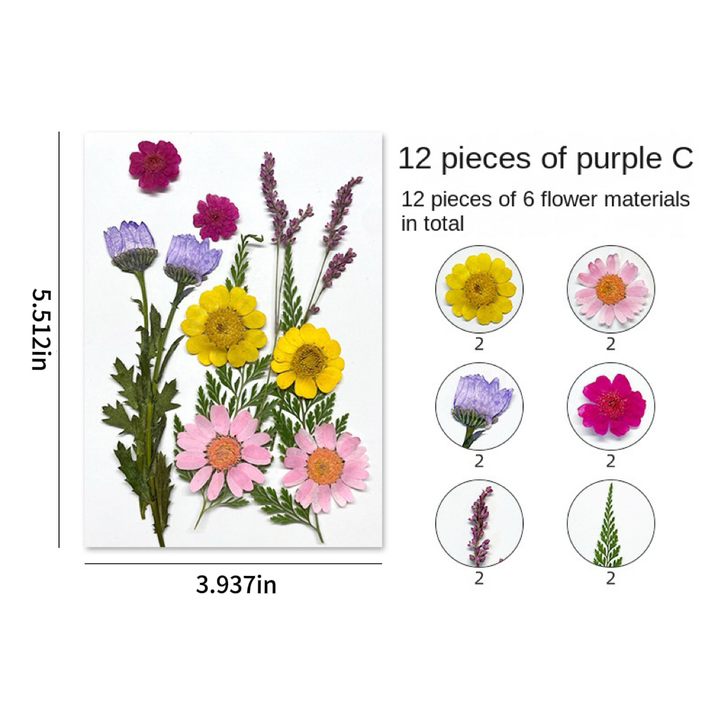 DIY Dried Flower Embossing Kit Handmade Photo Decor and Real Flower Embroidery