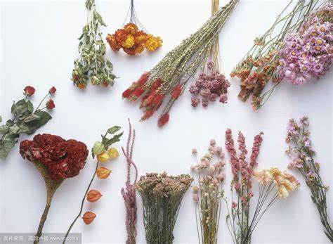 Handmade Paper with Pressed Flowers
