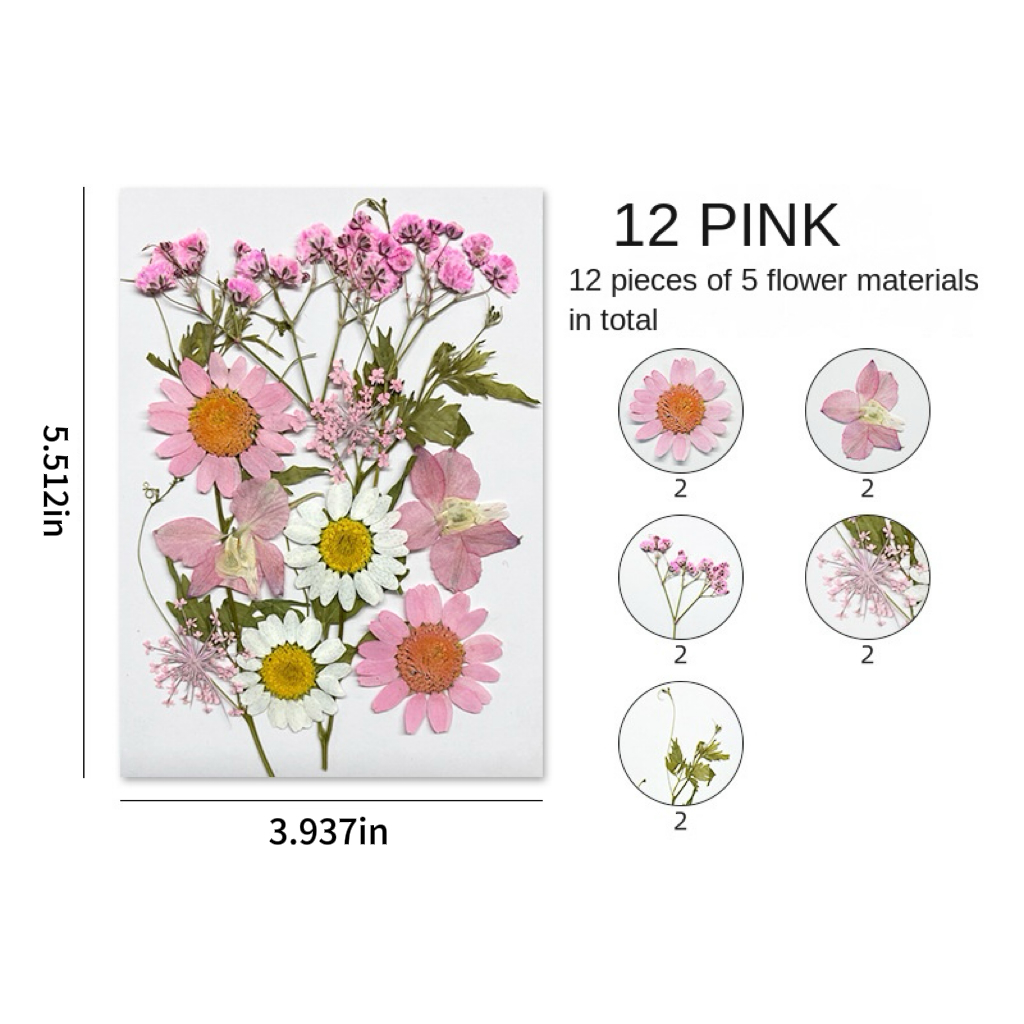 DIY Dried Flower Embossing Kit Handmade Photo Decor and Real Flower Embroidery