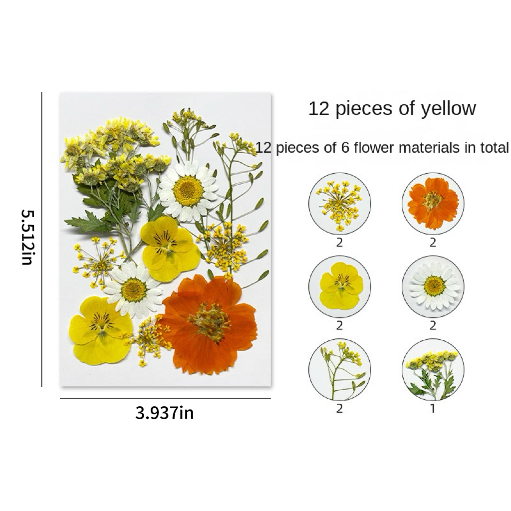 DIY Dried Flower Embossing Kit Handmade Photo Decor and Real Flower Embroidery