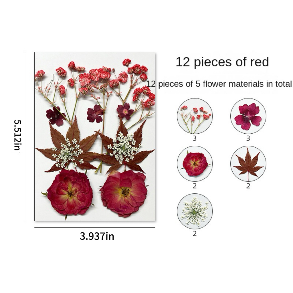 DIY Dried Flower Embossing Kit Handmade Photo Decor and Real Flower Embroidery