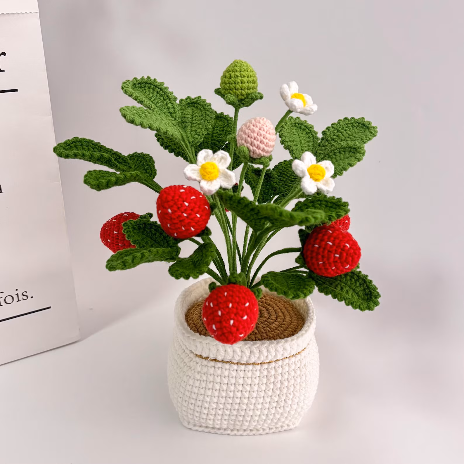 Handmade Crochet Strawberry Plant Pot,Crochet Flower Decor,Housewarming Gift for friends