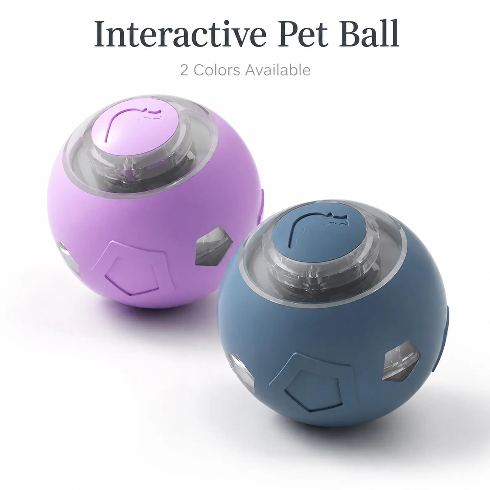 pet gift