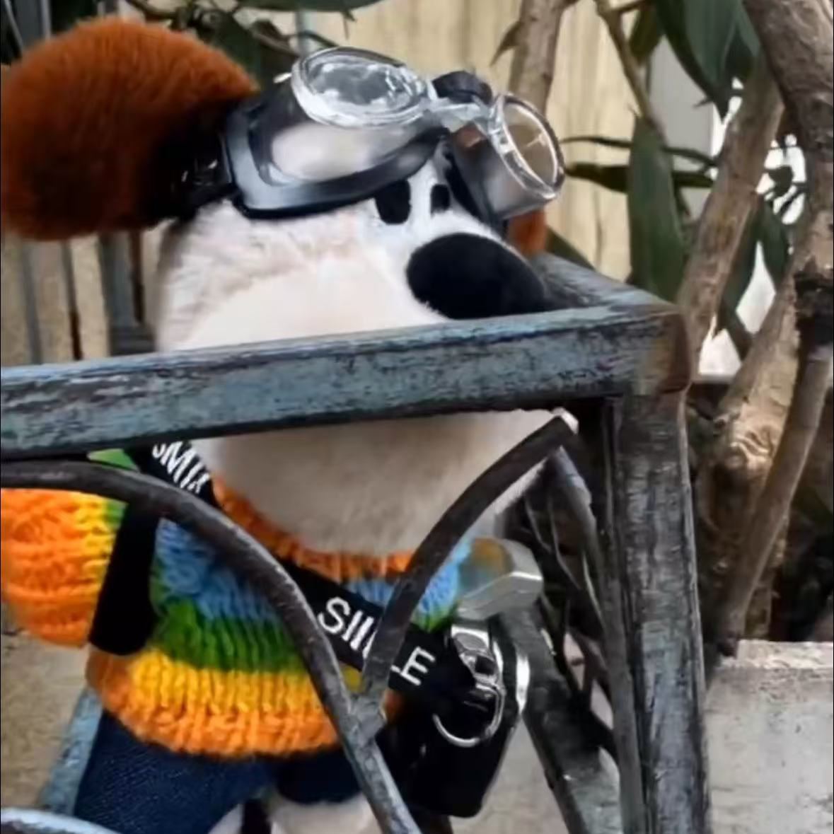 Camera puppy rainbow clothes pendant backpack keychain doll original cute press camera flashable