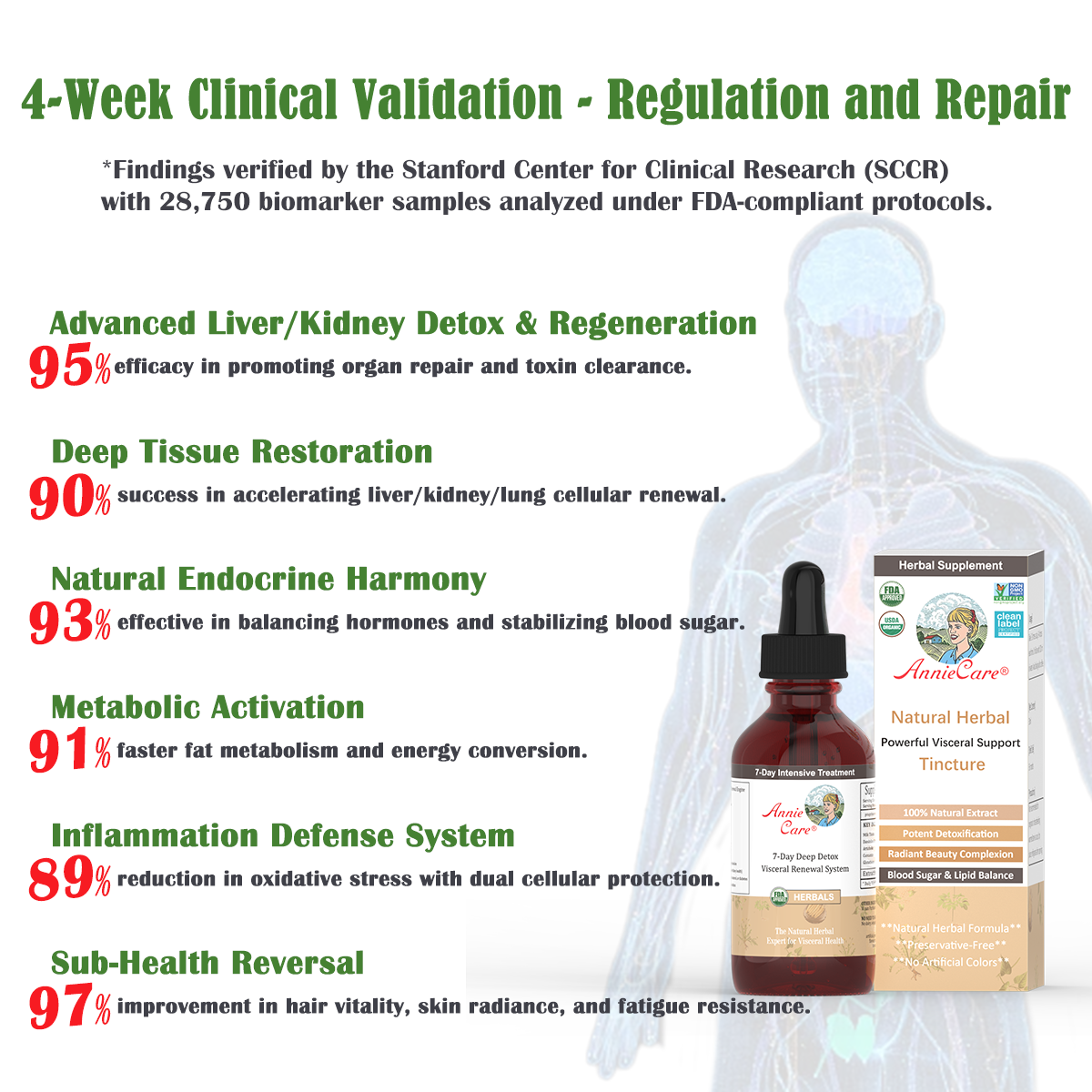 AnnieCare® Natural Herbal Visceral Health Restoration Tincture-𝐏𝐨𝐰𝐞𝐫𝐟𝐮𝐥 𝐕𝐢𝐬𝐜𝐞𝐫𝐚𝐥 𝐒𝐮𝐩𝐩𝐨𝐫𝐭-𝐃𝐞𝐭𝐨𝐱 & 𝐑𝐞𝐩𝐚𝐢𝐫-𝐋𝐨𝐰𝐞𝐫 𝐁𝐥𝐨𝐨𝐝 𝐒𝐮𝐠𝐚𝐫 & 𝐋𝐢𝐩𝐢𝐝𝐬-𝐇𝐢𝐠𝐡-𝐄𝐟𝐟𝐢𝐜𝐢𝐞𝐧𝐜