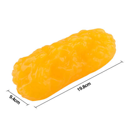 one pound of fat model size
