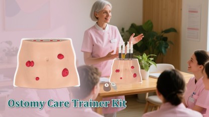Tabletop Ostomy Care Simulator with 4 Stoma Types