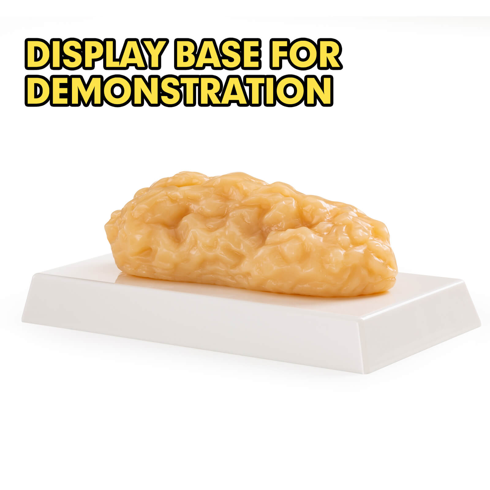 Ultrassist Human Body Fat Model (1, 2.5 & 5 lb) – Lifelike Fat Replicas for Fitness Training